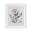 Fleurs pressées sous pression, reproduction encadrée sous verre, design avec lettres et doublure-2000265724-2000265714