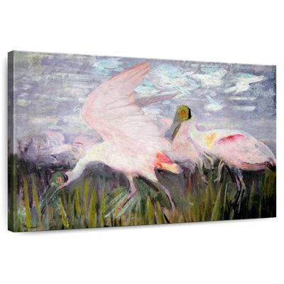 Brampt Roseate Spoonbills 1905-1909