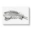 Feather by Jean Bernard - Wrapped Canvas-55370805