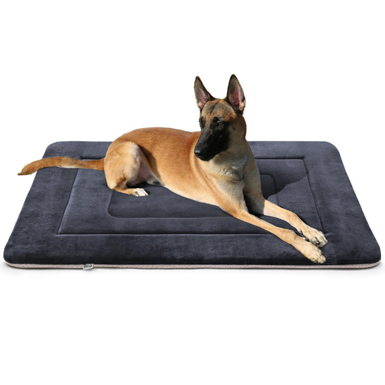 https://assets.wfcdn.com/im/50702571/resize-h755-w755%5Ecompr-r85/2554/255407759/Dog+Bed+Soft+Crate+Bed+Pad+Mat+Non+Slip+Washable+Dog+Beds+For+Lagre+Dogs+Mattress+Kennel+Pads.jpg