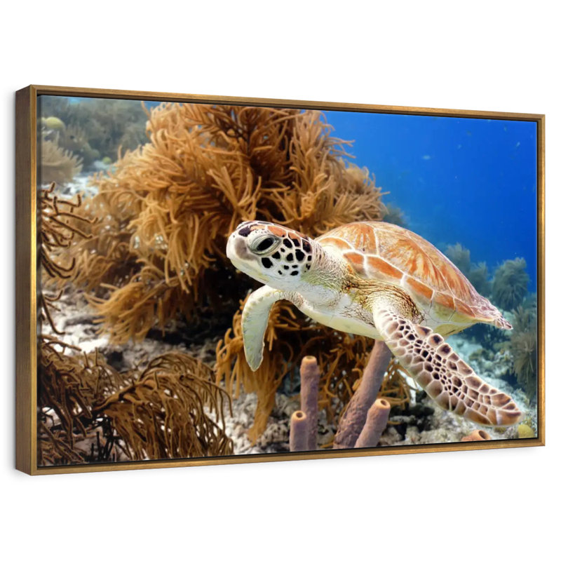 Tortue de récif, 31 po x 21 po, Cadre flottant doré