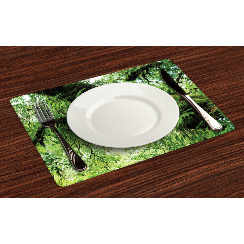 Récapitulatif 18,5" rainforest