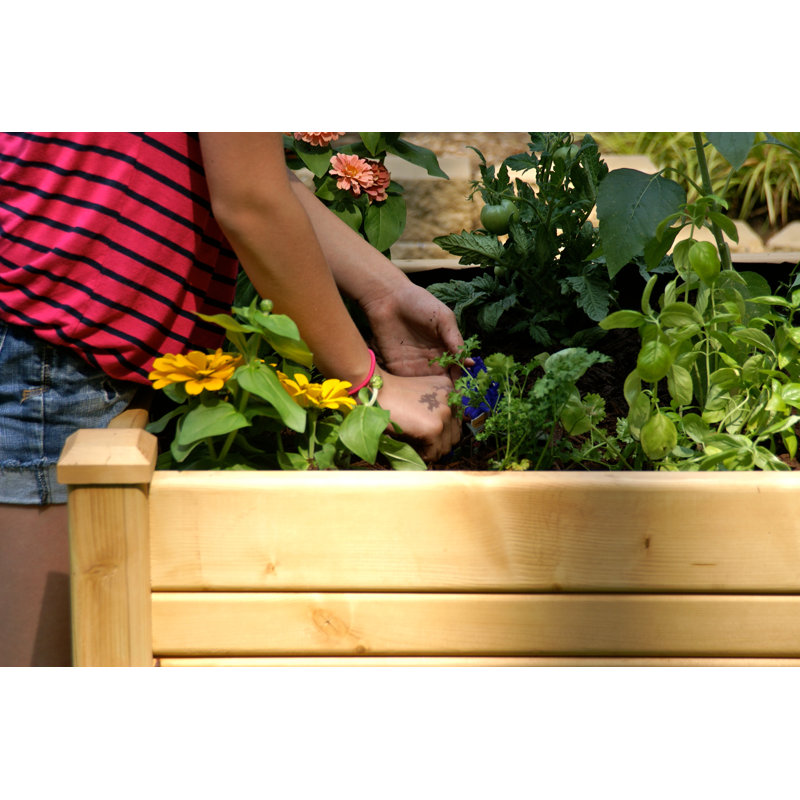 Konkol Wood Elevated Planter