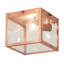 1 - Light Flush Mount