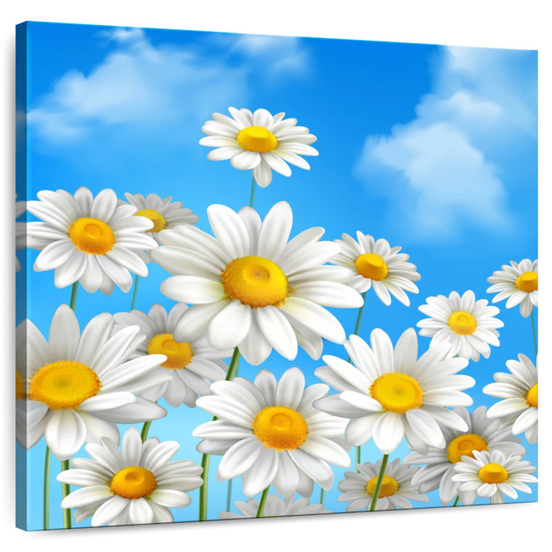 Harnek, ciel bleu, marguerites, H 30 po x l 30 po