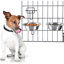 Bols pour animaux suspendus pour chenils et caisses - Bols d'eau et d'eau 20 oz, Va au lave-vaisselle - Argent