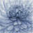 petals flower - 32"x32" art on canvas