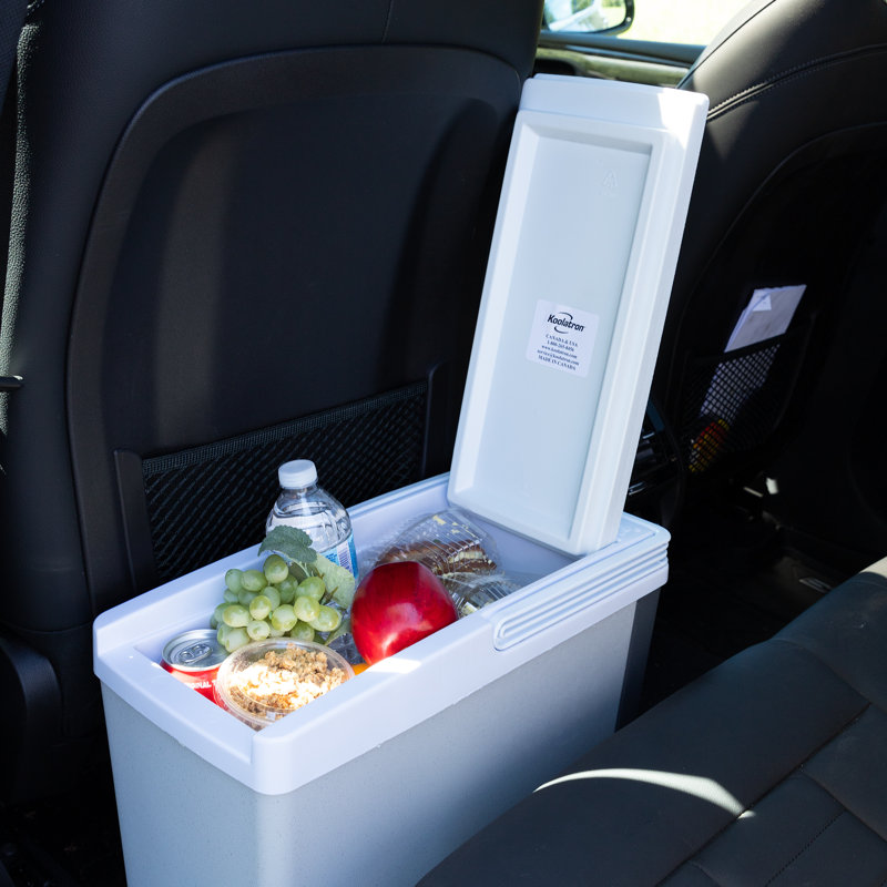 18 Qt. Electric Cooler, 17L Picnic Cooler