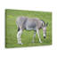 No Frame Print on Canvas-1665723467