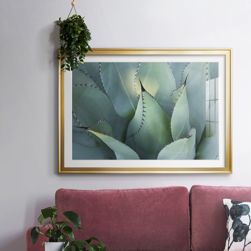 " Blue Agave I ", Gold, 19" H x 27" W x 1.5" D