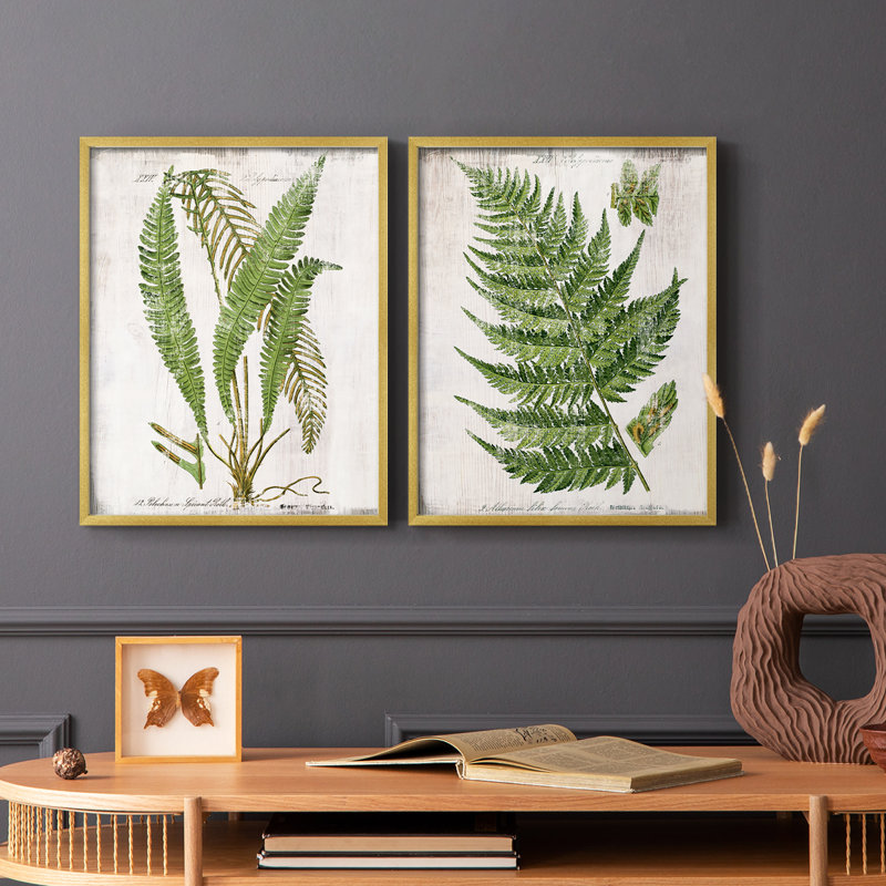 «Greenhouse Fern I», reproduction encadrée de qualité supérieure - prête à être accrochée - aucun clou requis - aucun clou requis