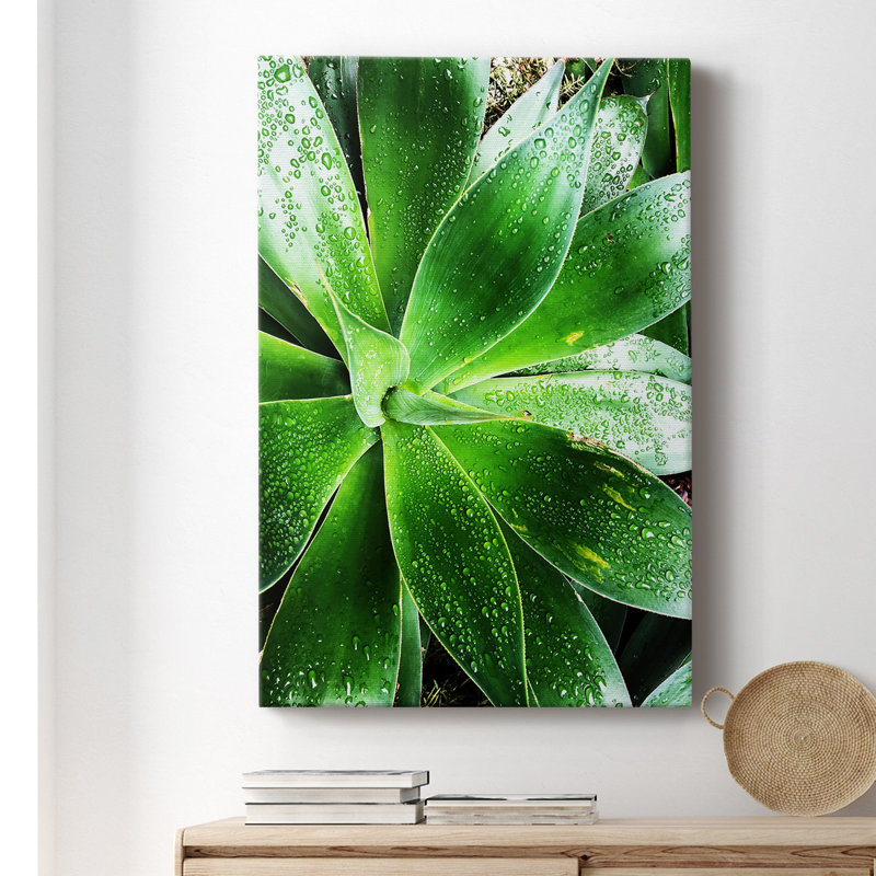 " Green Tropical Succulent V ", 18" H x 12" W x 1.5" D