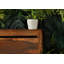 Toronto Solid Wood Bed-47817506