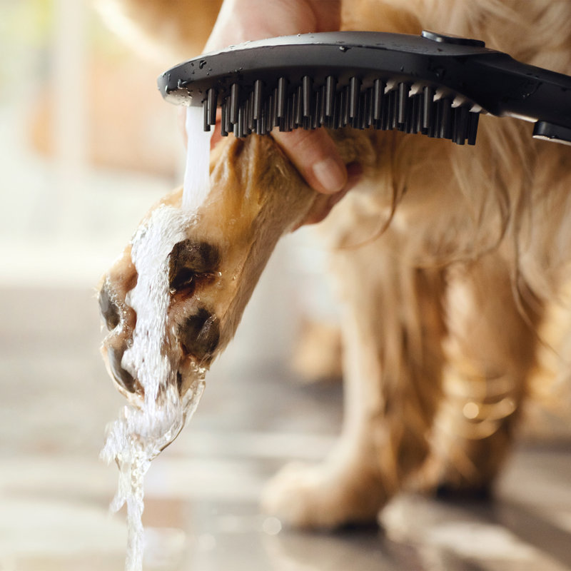 Hansgrohe Dog Shower, 3-Spray, 1.75 GPM, Matte Black