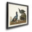 Harlequin Duck - reproduction d'art sur toile-896170142-896170143