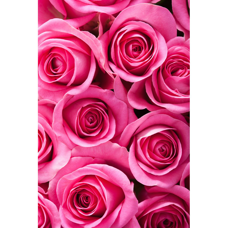 Pink Roses Background by OlgaMiltsova - Wrapped Canvas Print, 46cm H x 30cm W
