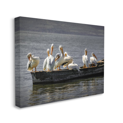 «Pelican Flock on Floating Lake Boat» par David Lorenz - photographie sur toile tendue
