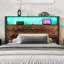 Storage Bed-1858203652