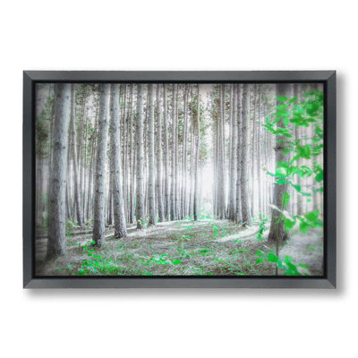 Le dernier du vert dans la forêt par Hal Halli. Impression sur papier - Montée et encadrée avec de l'acrylique transparent