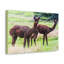 Wall Art on Canvas-1838209262