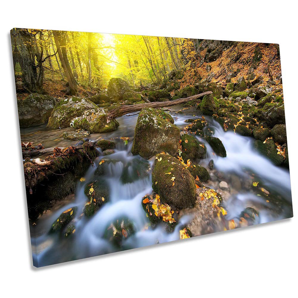Z0430 Sunset Forest River Stream - Wrapped Canvas Print