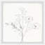Flower Sketch - Single Picture Frame Print-16148237