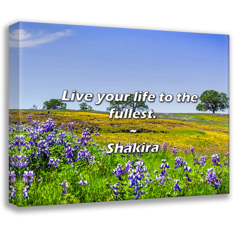 Citation de Shakira: Vivez votre vie au maximum., H 15 po x l 18 po