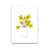 Unframed selected