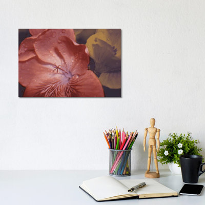 Garden Geraniums II by Jacob Green - Wrapped Canvas Gallery-Wrapped Canvas Giclée