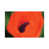 Canvas selected