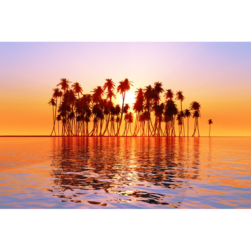Coconut Palm - Wrapped Canvas Print, 20cm H x 30cm W