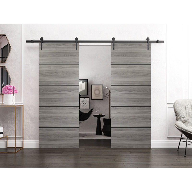 Porte de grange double robuste avec quincaillerie Planum 0015 Ginger Ash, supports de rail de 13 pi, portes intérieures modernes à panneaux pleins - 36 po x 80 po (2 x 18 x 80 po) - Rail argenté
