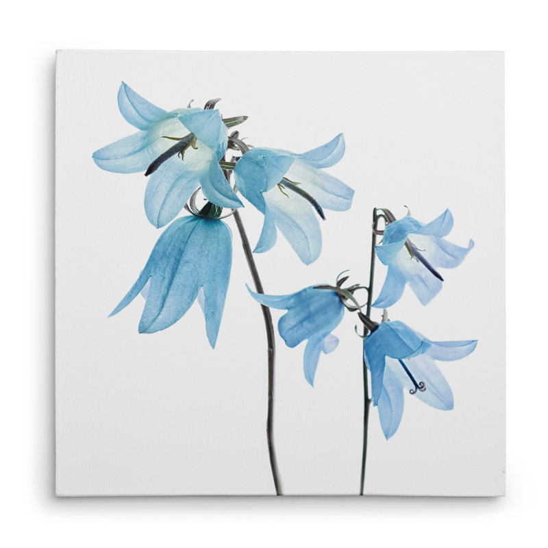 «Gorgeous Blue IV», reproduction de photo, H 16 po x l 16 po x P 1,5 po, Toile tendue
