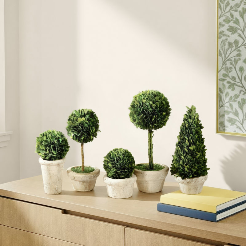 Alby 5 Piece PG Topiaries Potted Set