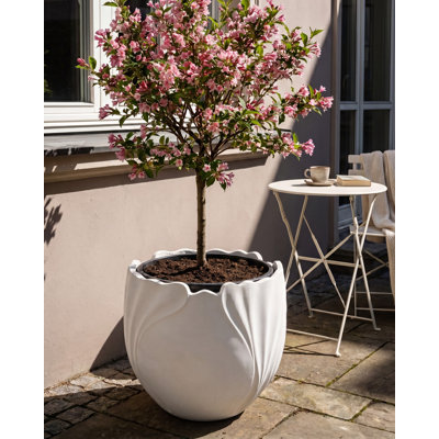 Pot Planter