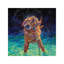 « moonlight nage » par iris scott, reproduction d’impression-49902874-49902858