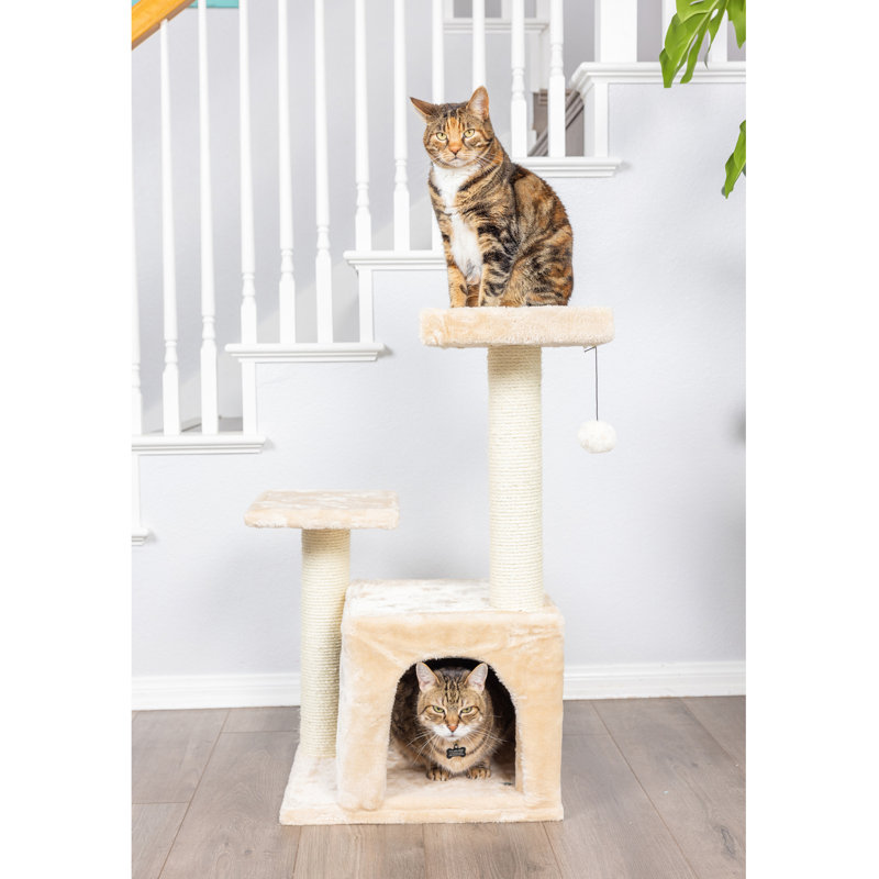 Arbre à chat 32 "en bois véritable classique