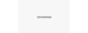 Logo QIYUDIANZI