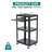 41'' H x 24'' W AV Cart with Wheels