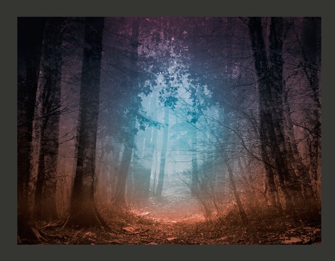 Keep Breathing 2.31m x 300cm Wallpaper, 250 cm x 193 cm