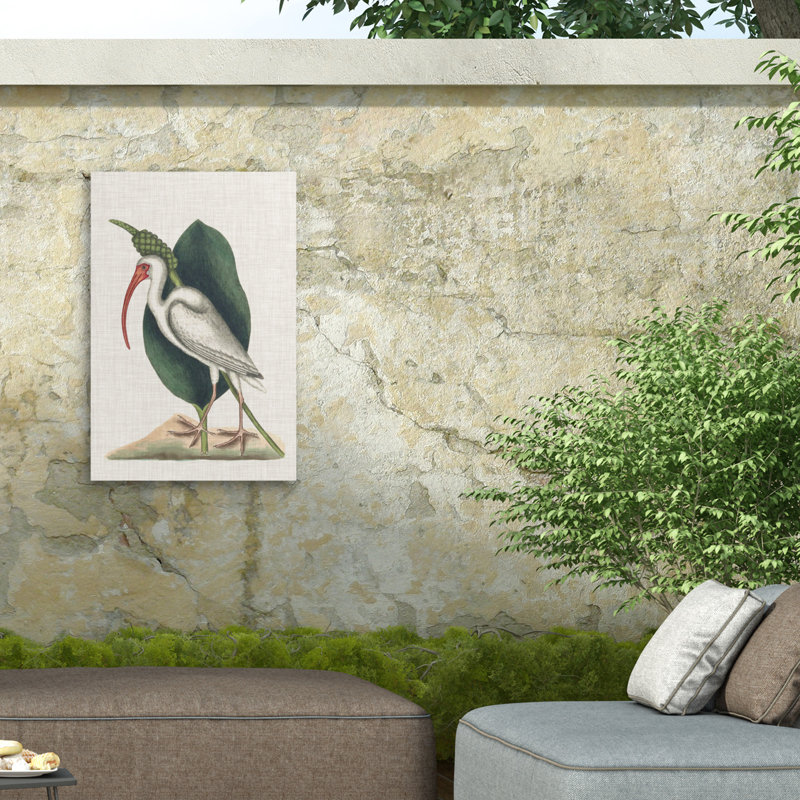Toile d'extérieur Mark Catesby Burbach, H 19 po x l 12 po x P 1,5 po
