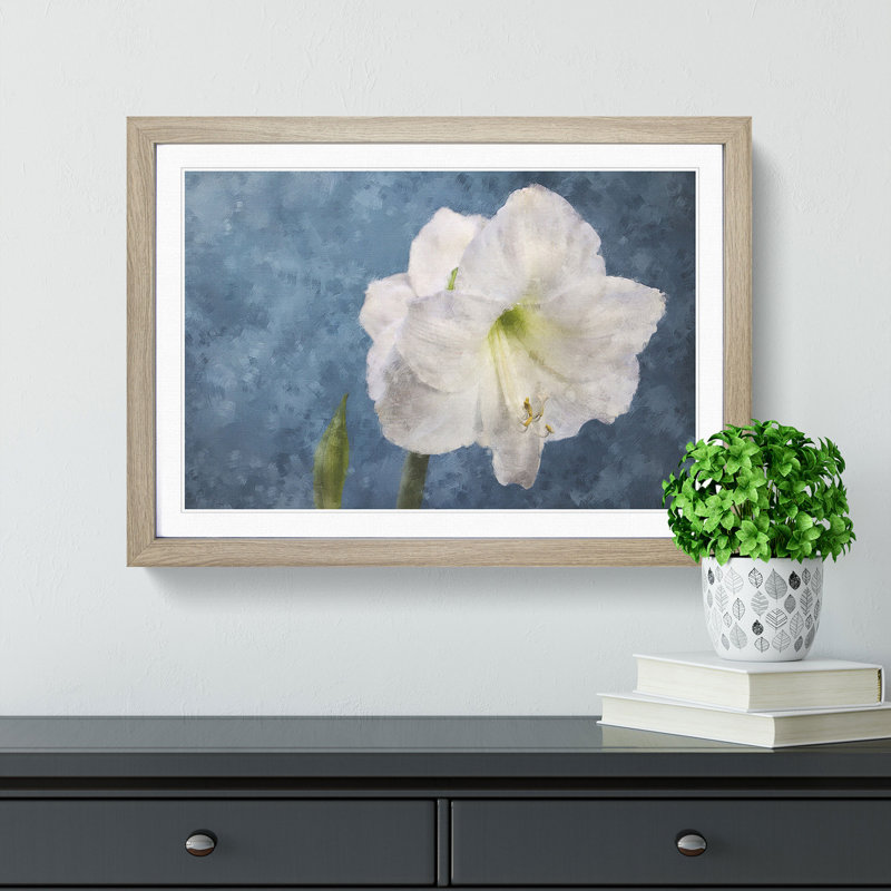 White Amaryllis Flower - Picture Frame Painting Print, 62cm H x 87cm W x 2cm D, Oak Framed