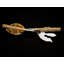 Gold Hollow Braid Serving Set