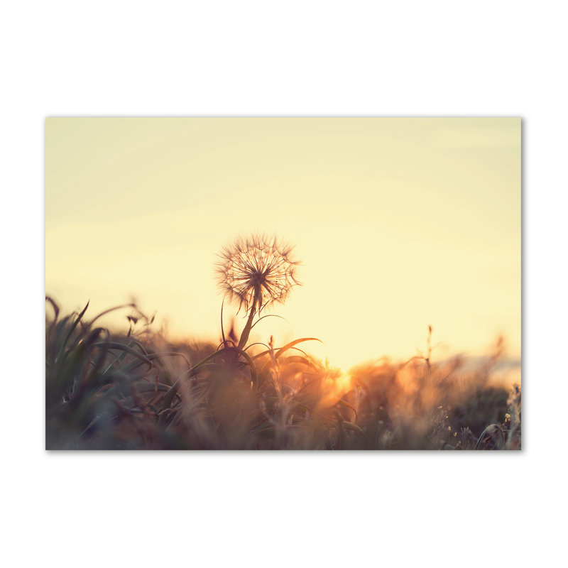 Dandelion - Wrapped Canvas Print