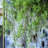 Artificial Twig Vine For Wall Hangings