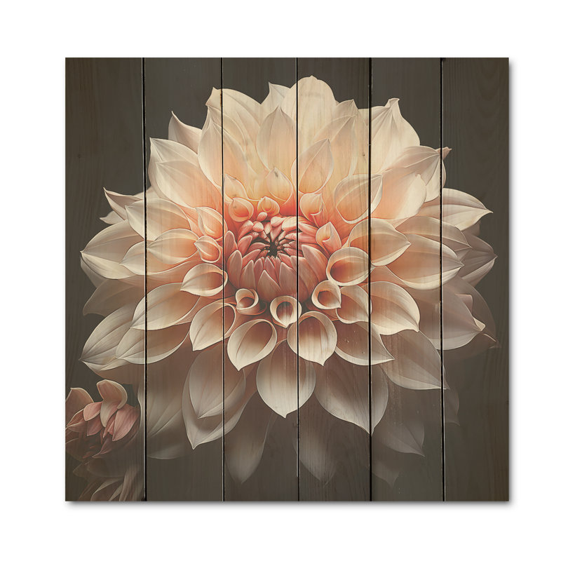 Coral Dahlia Minimalism Dream - Dahlia Wood Wall Art On Natural Pine Wood, 15" H x 15" W