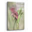 Lis rose Calla - imprimé sans cadre-458833587
