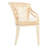 Totten 17.3'' H Cotton Upholstered Armchair-987712991