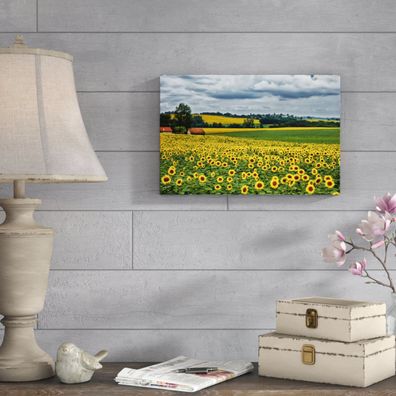 Pastoral Countryside IV by Colby Chester - Photograph Print, 20cm H x 30cm W, Wrapped Canvas