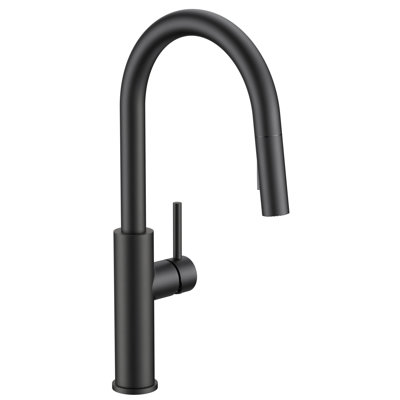 Kitchen Faucet With Pull Down Sprayer